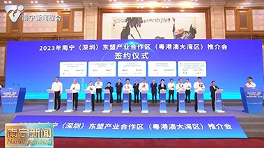华芯邦企业受邀出席发言|南宁(深圳)东盟产业合作区(粤港澳大湾区)推介活动举行