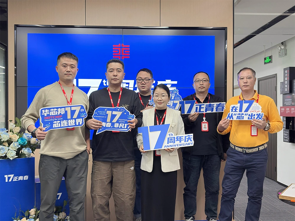 华芯邦芯片销售团队合照