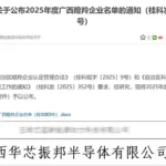 一跃成“羚”——华芯振邦入选2025广西瞪羚企业