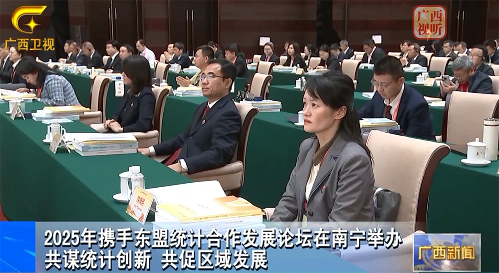 2025年携手东盟统计合作发展论坛在南宁举办共谋统计创新 共促区域发展