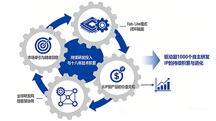 IP的持续积累与进化